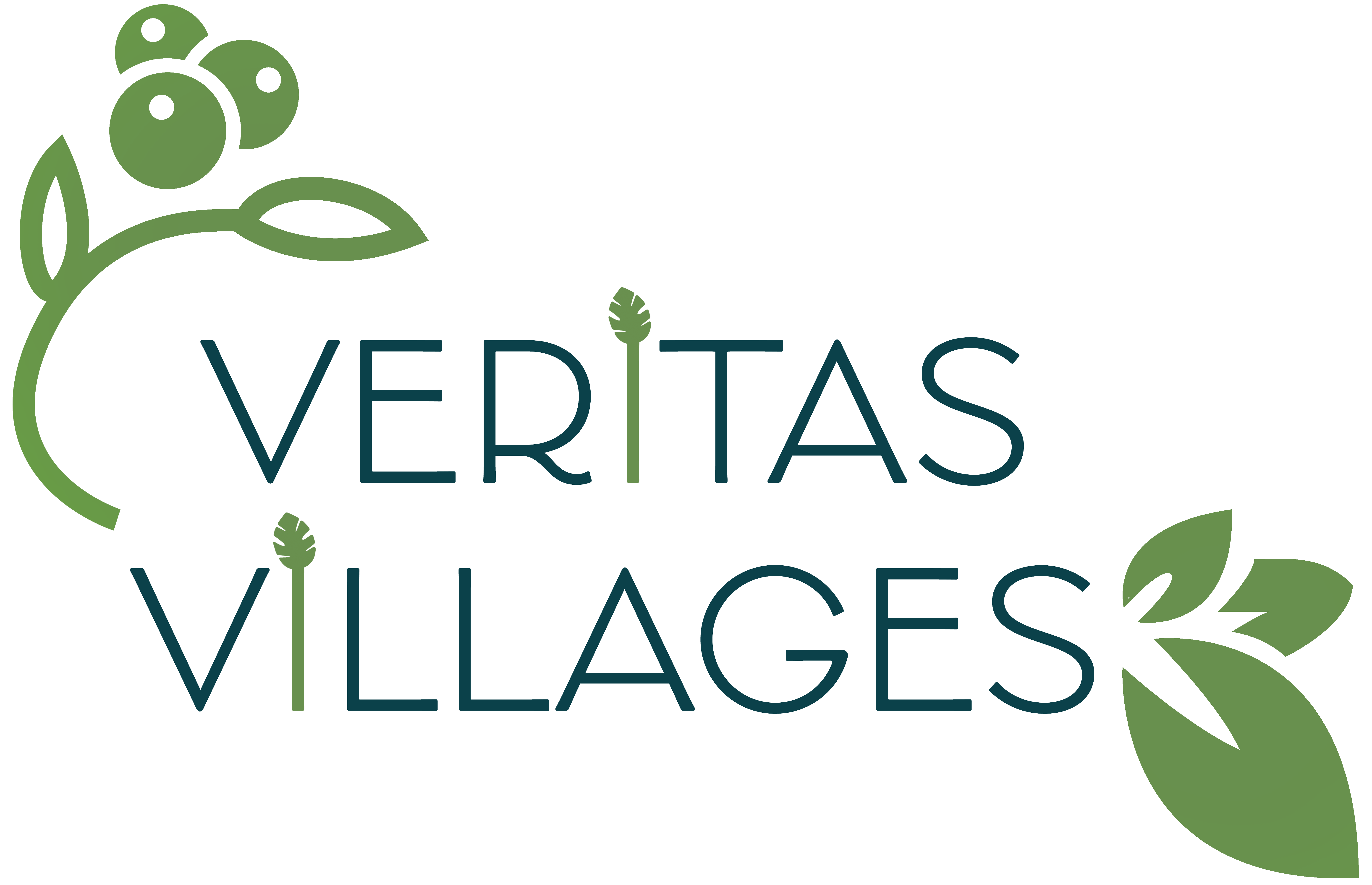 Veritas Villages